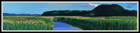 Piermont Marsh with Red Winged Blackbirds