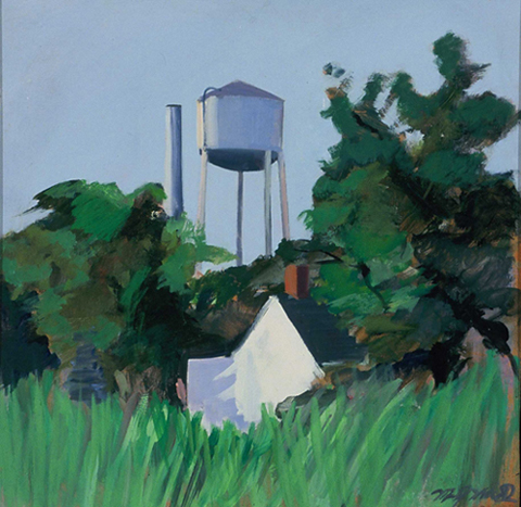 Paradise House With Water Tower